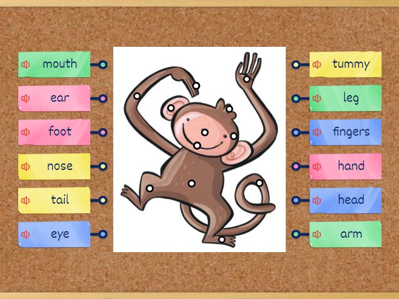 KB 1 un 7 Wild Animals Body parts - Labelled diagram