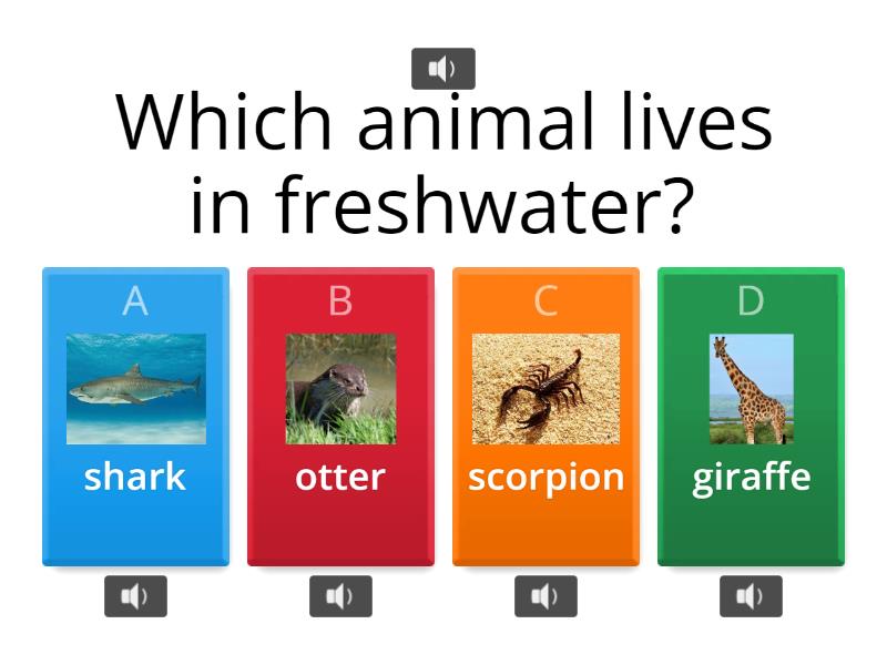 Habitats WordWall Practice (Read Aloud.) - Quiz