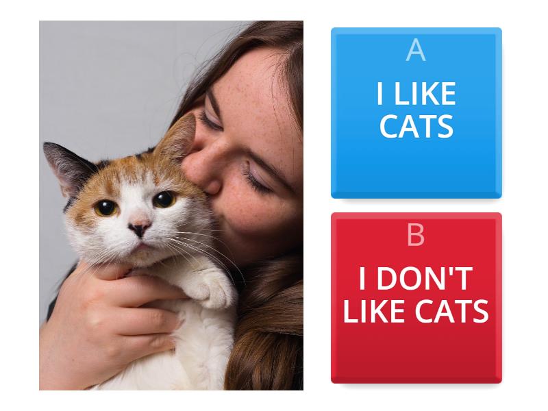 I LIKE / I DON'T LIKE PETS /ANIMALS - Quiz