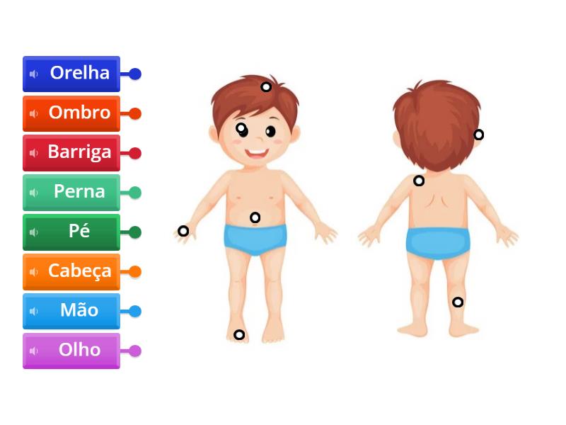 Partes do corpo humano - Labelled diagram