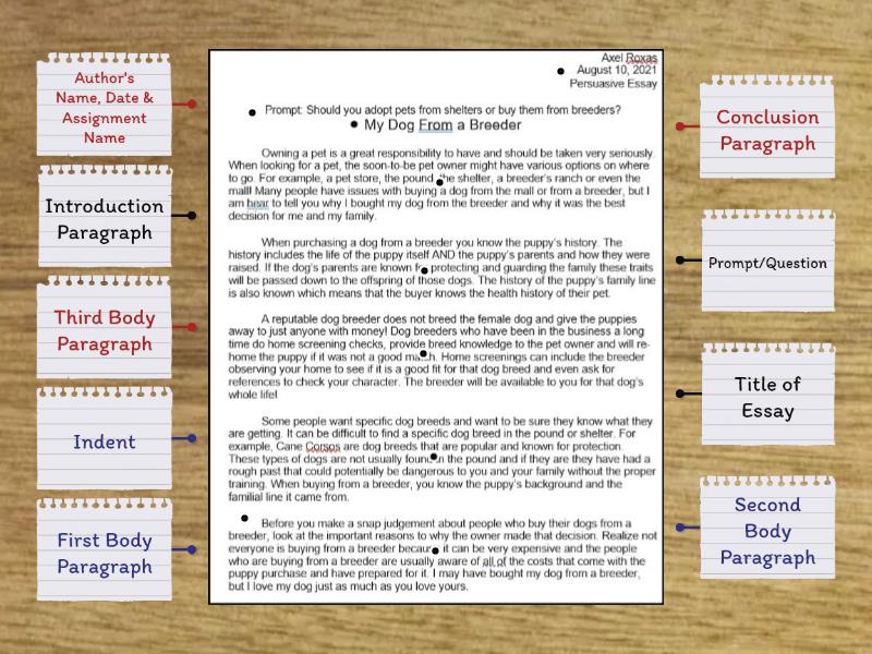 Parts of an Essay - Labelled diagram