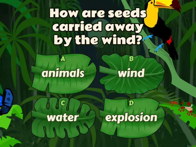 Seed dispersal methods quiz