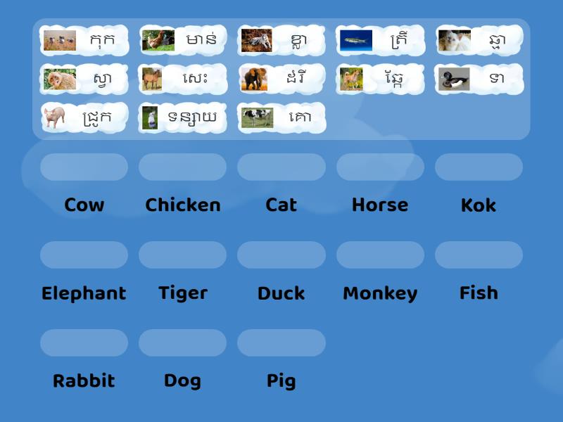 សត្វ - Match up