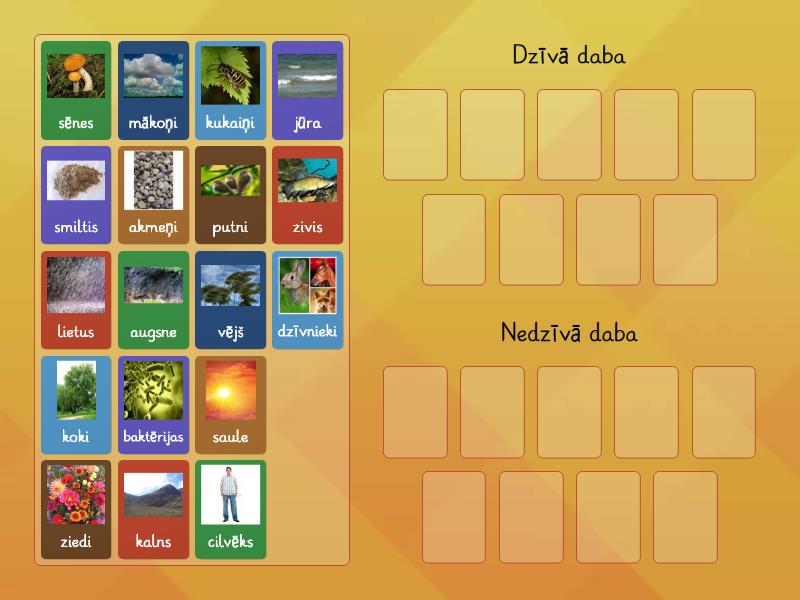 Dzīvā un nedzīvā daba - Group sort