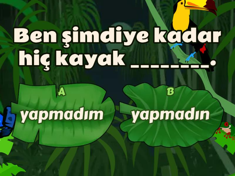 B. Bayramlar - Test