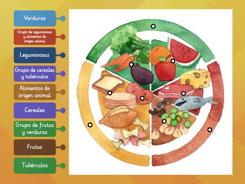 Plato del bien comer - 3° primaria - Labelled diagram