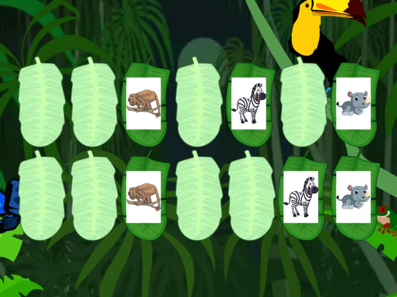 Zoo animals - Matching pairs