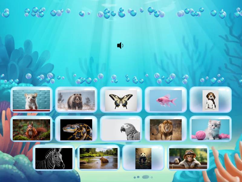New Words - Find the match