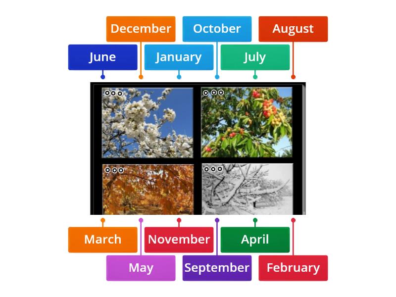 seasons and months - Labelled diagram