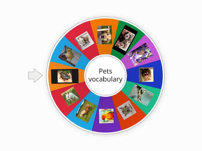 Vocabulary for Pet. Talking about Pets Vocabulary. Speaking about Pets. Pets vocabulary