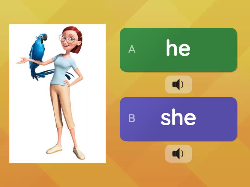 He / She - Quiz