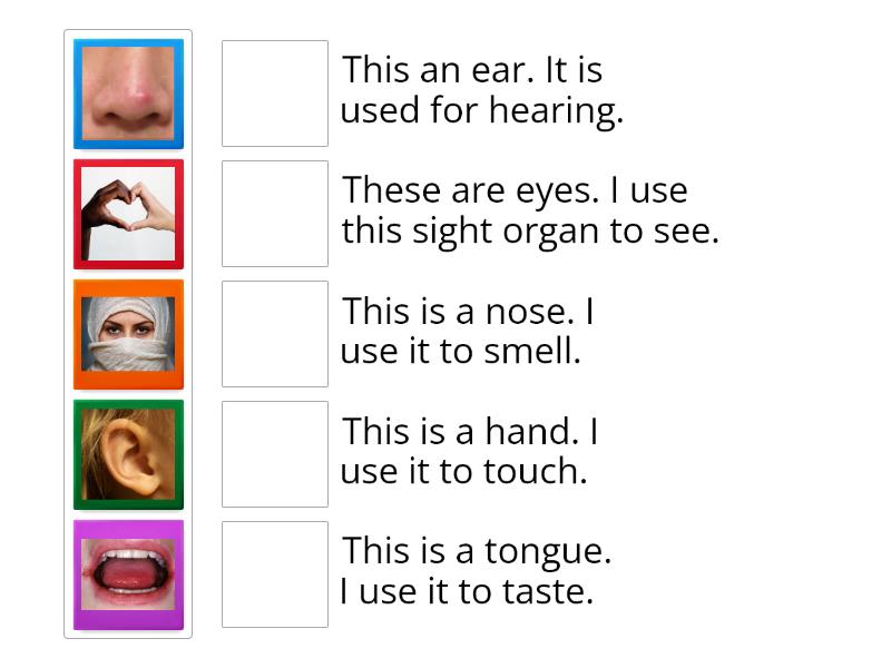 senses-wordwall-match-up