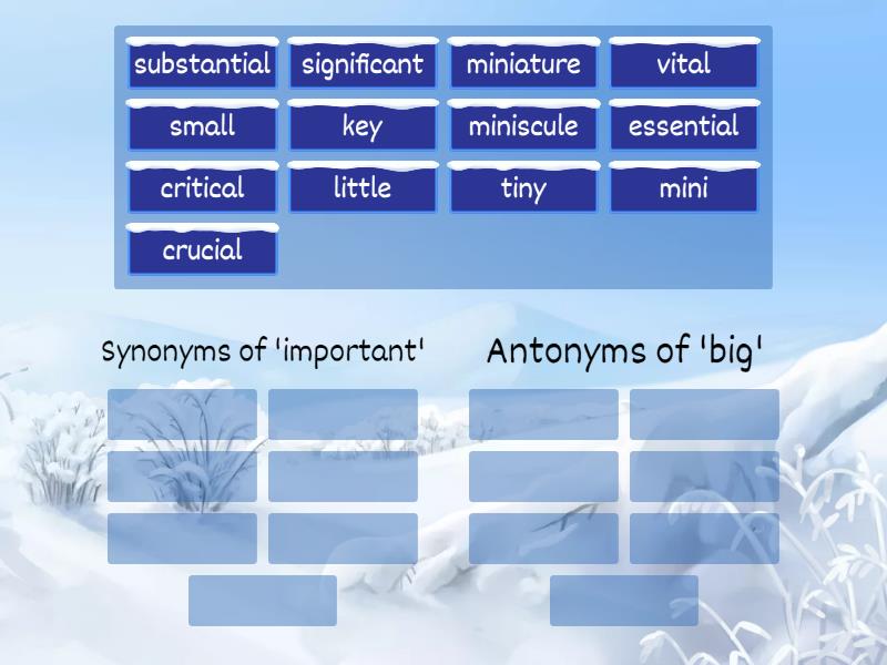 Synonym & Antonyms Group sort