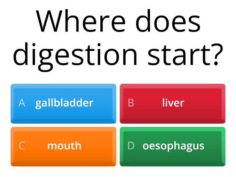 digestive-system-quiz