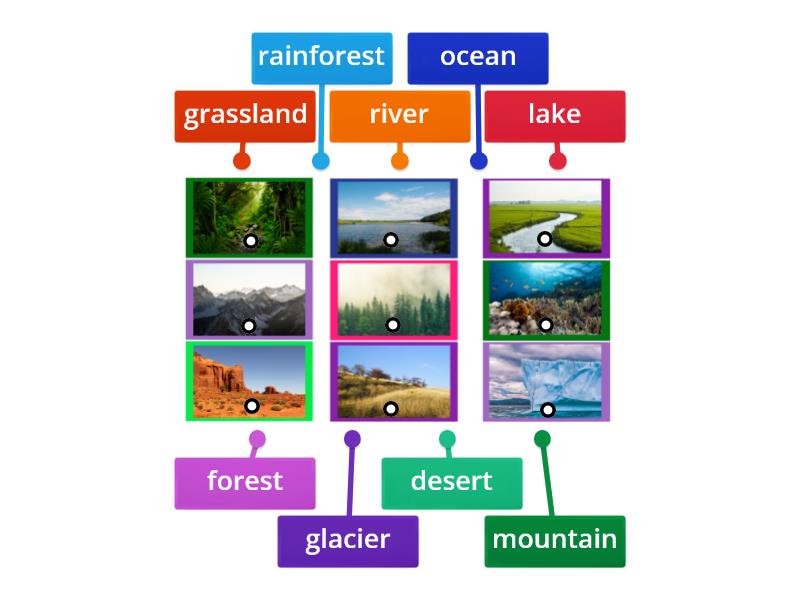 Habitats! - Labelled diagram