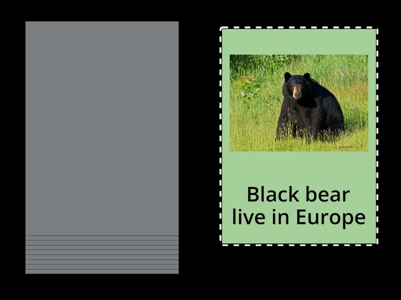 where-do-animals-live-speaking-cards