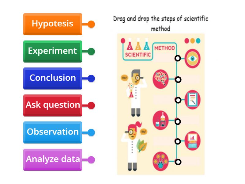 Scientific Method 8th Grade Labelled Diagram