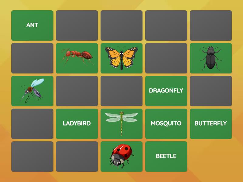 K6U3 INSECTS MATCHING - Matching pairs