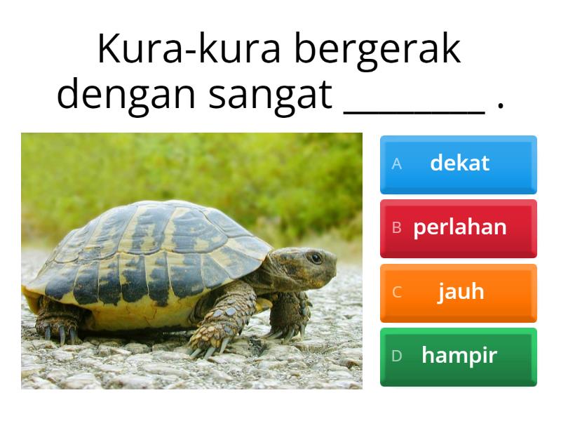 Kata Adjektif Jarak Tahun 3 - Quiz