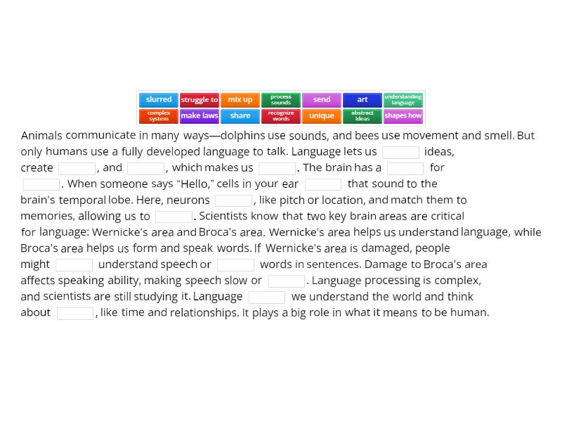 Readworks. How the brain works - Complete the sentence