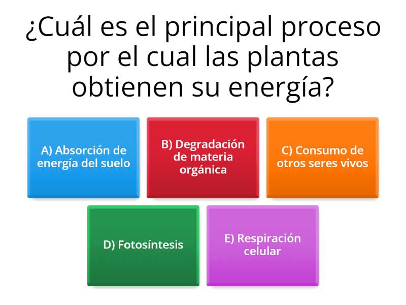 FISIOLOGIA DE LAS PLANTAS - Test