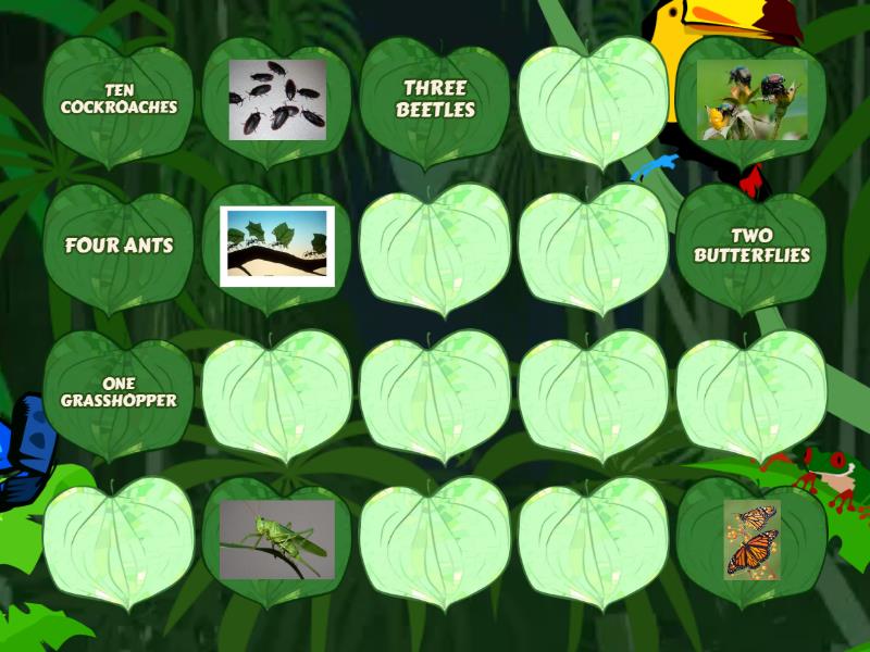 Easy 2 - Unit 4 - Insects (Memory game) - Matching pairs
