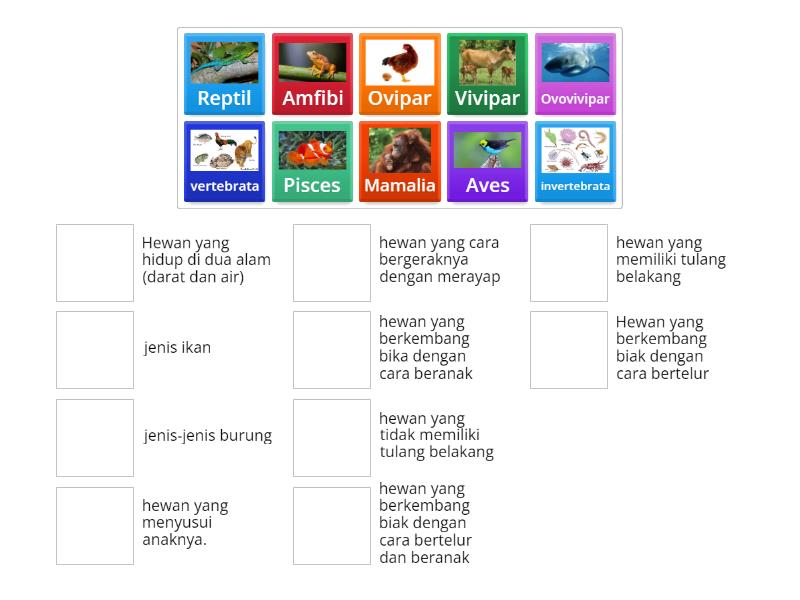 MicroTeaching Kelas 3- Bab I Mari Kenali Hewan di Sekitar Kita - YouTube