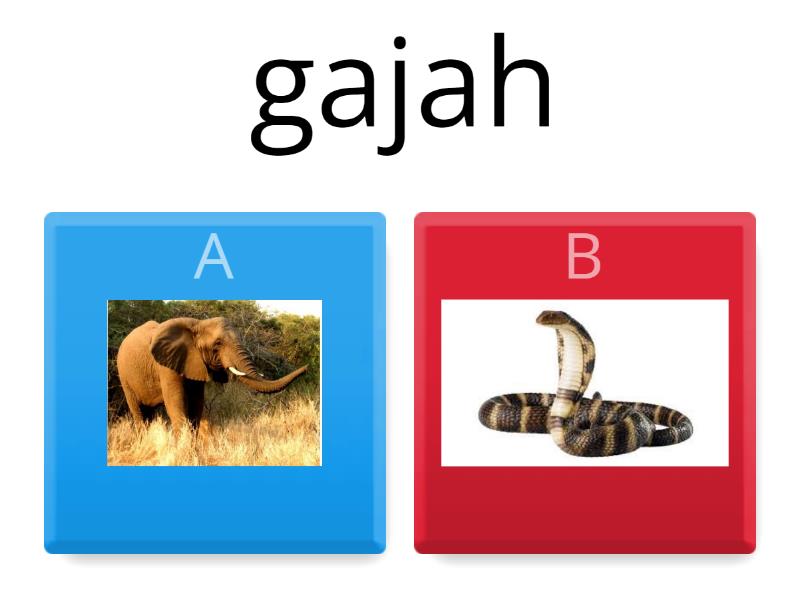 r dan h - Quiz