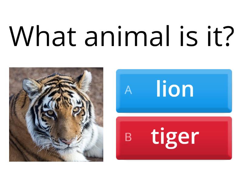 Wild Animals () - Quiz