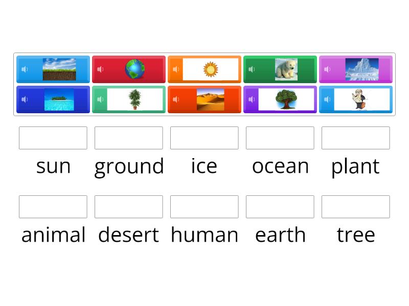 climate change - Match up