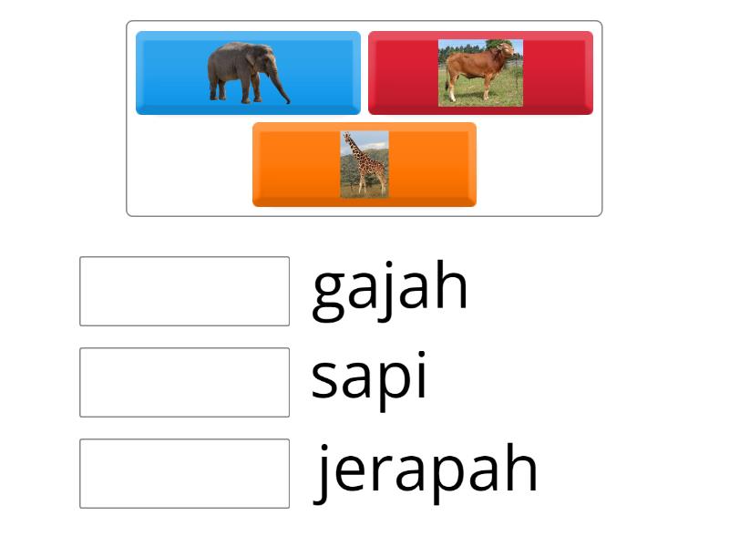 Pasangkan Nama Binatang Yang Sesuai - Match Up