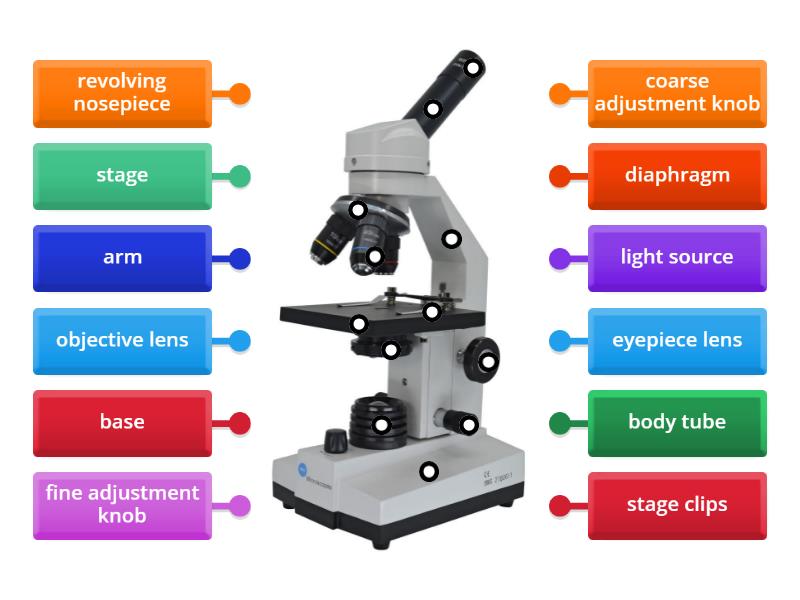 Microscope - Label the parts - Labelled diagram