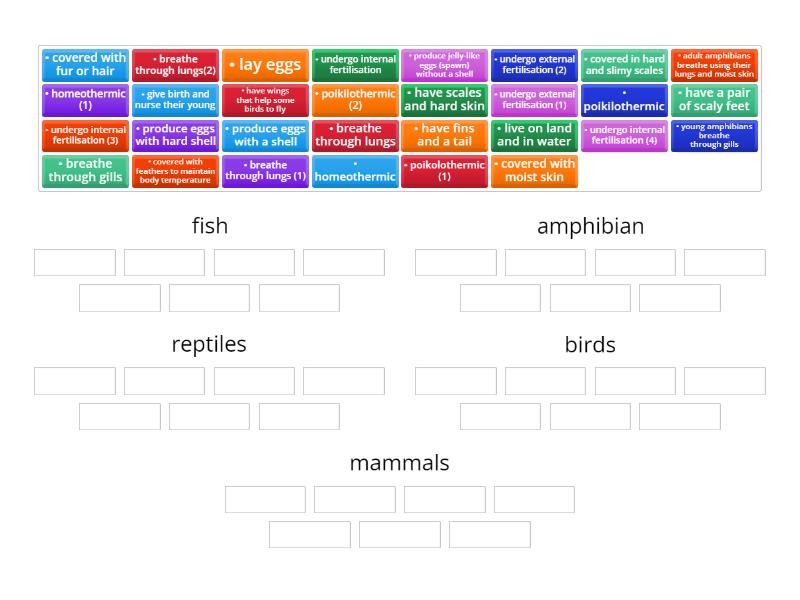 vertebrates - Group sort