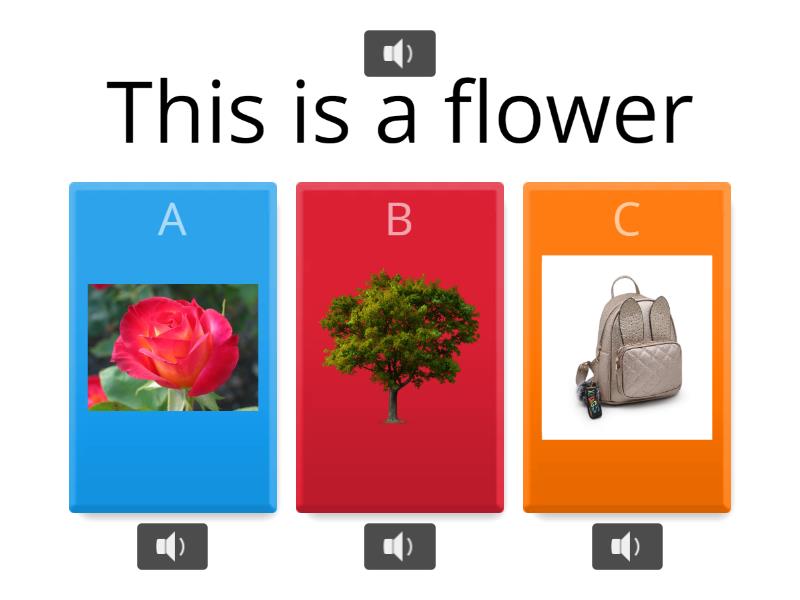 Homework quiz