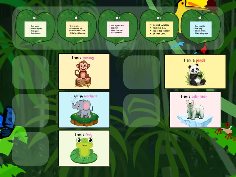 who-am-i-wild-animals-match-up