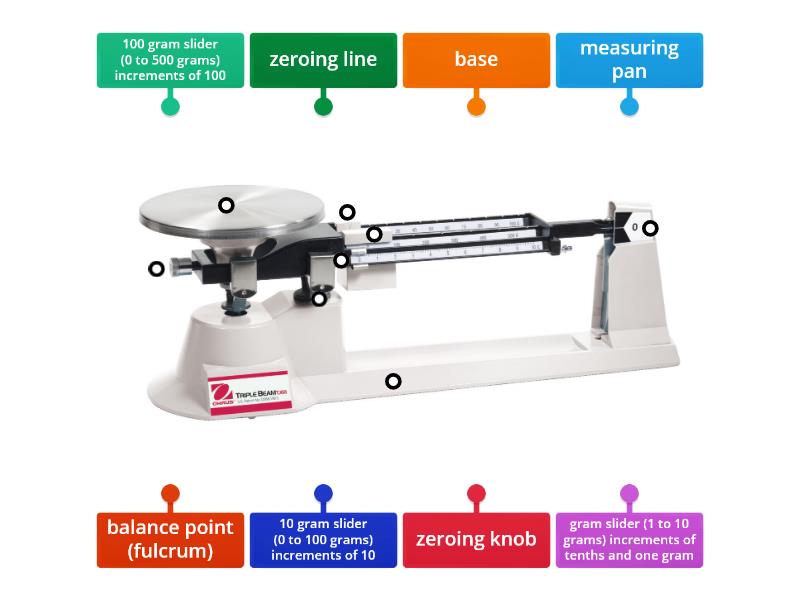 Parts of a Triple Beam Balance - Labelled diagram