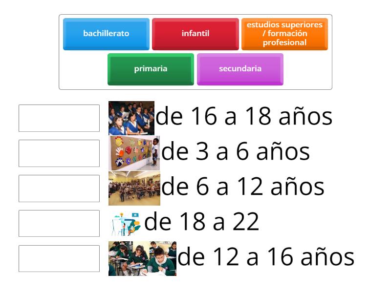 Etapas De Educación Une Las Parejas