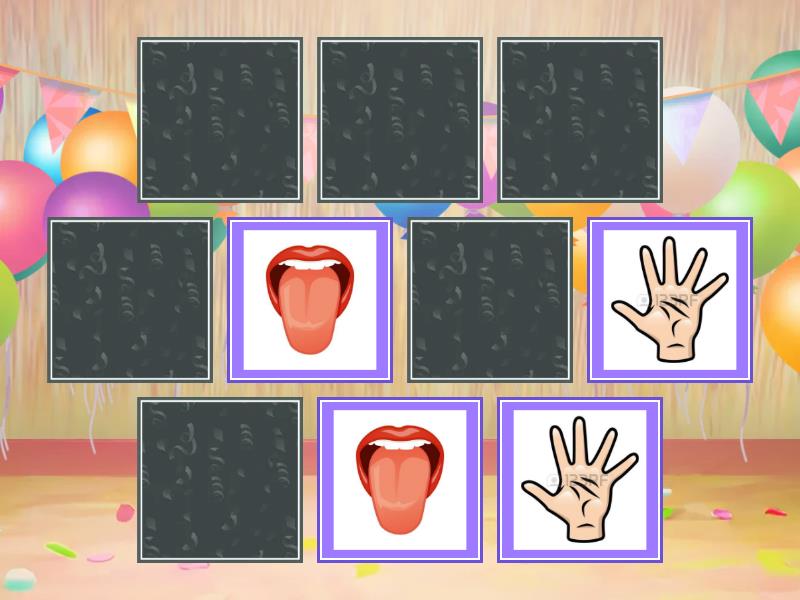 Los 5 Sentidos Matching Pairs