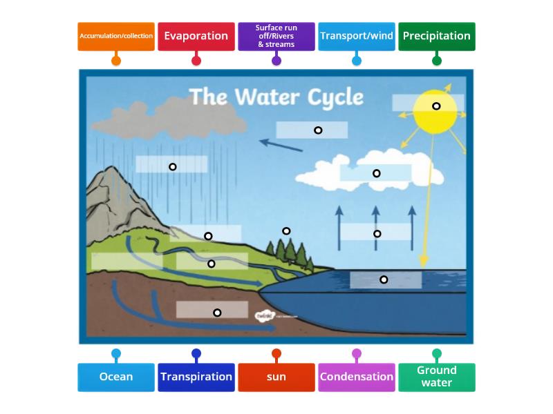 Junior Cert: Water cycle - Labelled diagram