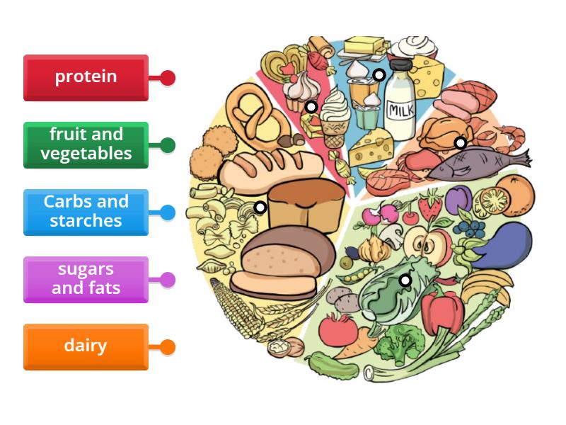 The Eatwell Plate Food Groups Labelled Diagram