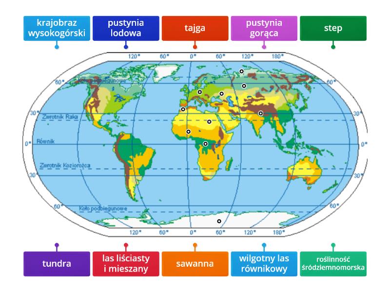 Strefy Krajobrazowe Na Kuli Ziemskiej - Labelled Diagram