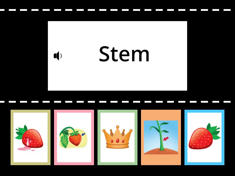 EASY LINK STARTER 3 1 - Find the match