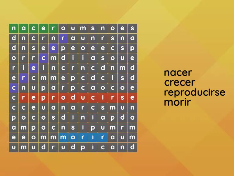 Sabes Las Cuatro Funciones De La Planta Wordsearch