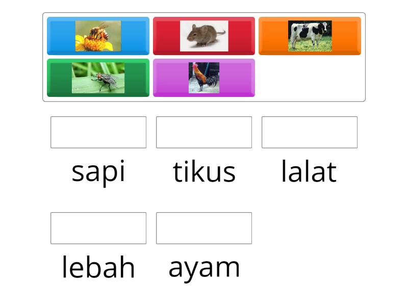 cocokkan gambar dengan kata - Match up