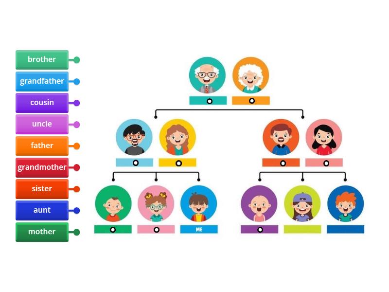 family members - Labelled diagram