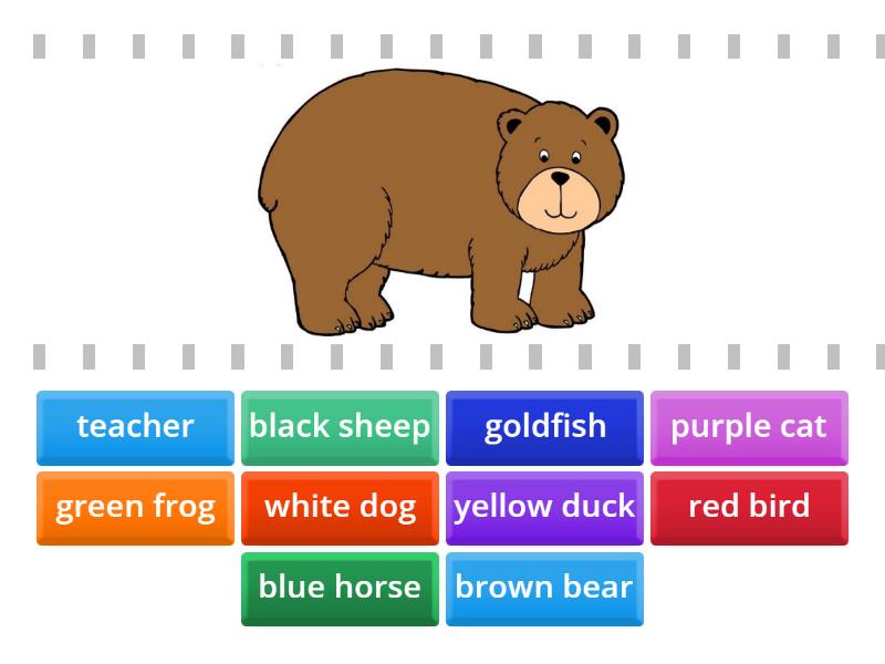 Brown Bear What Do You See? - Find the match