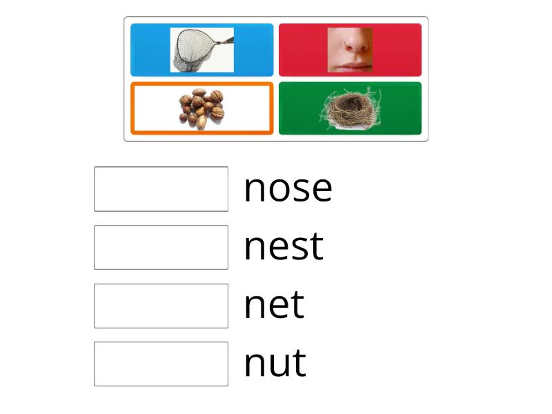 Nested nets