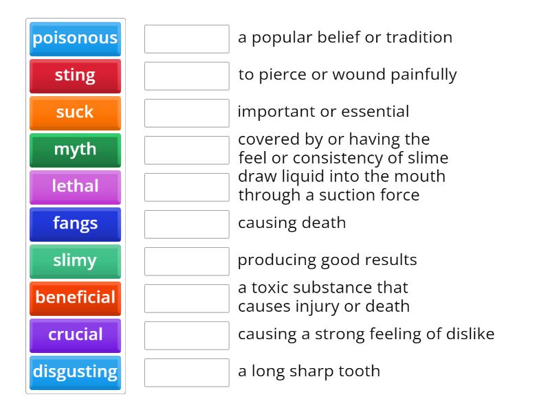 UNIT 2 - VOCABULARY REVIEW - Match up