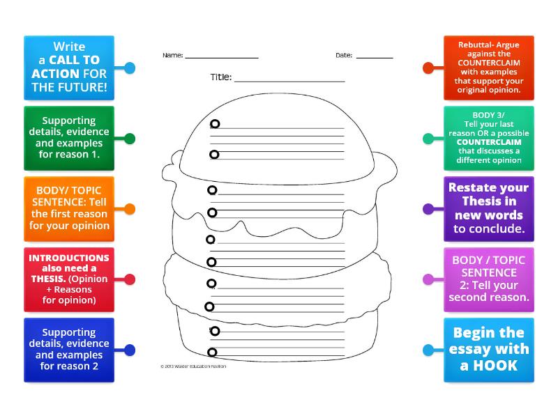 EL Hamburger essay labeling - Labelled diagram