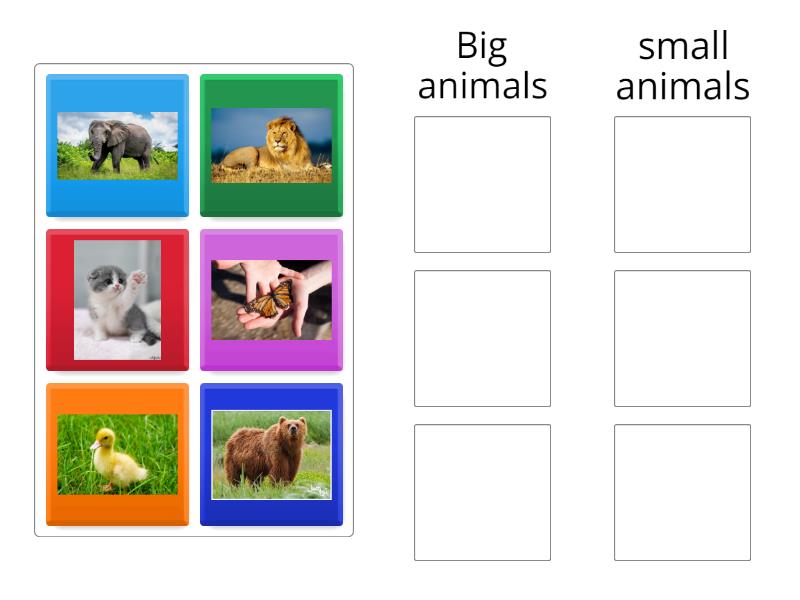 comparing between the small and large animals - Group sort